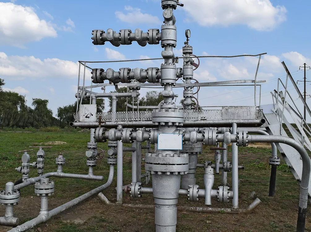Pumped Storage Project